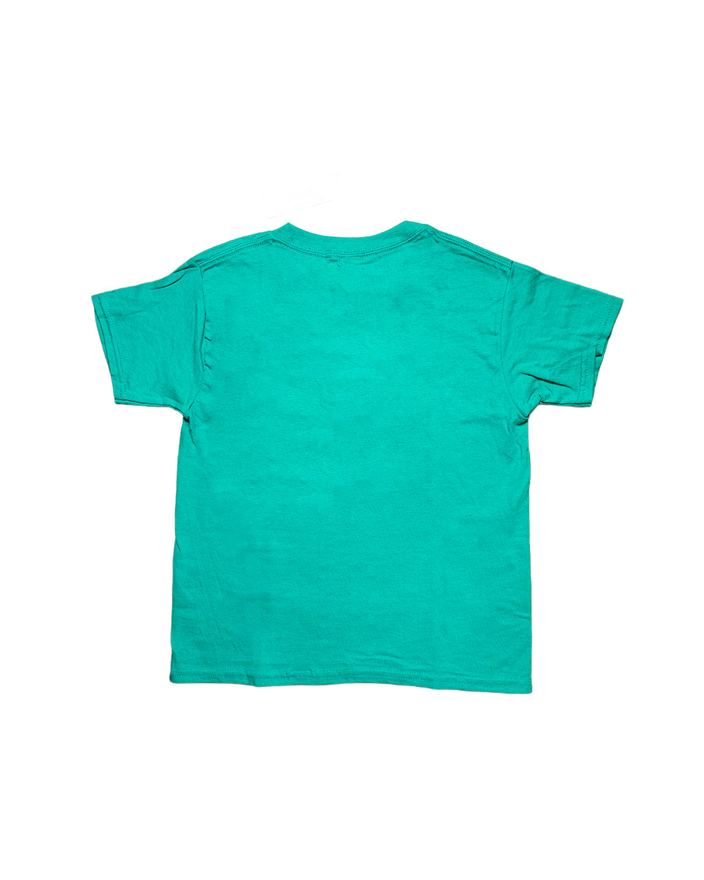 LBC Logo Youth Teal T-Shirt